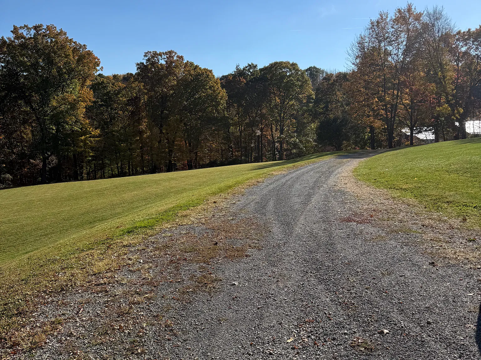 3 bed, 1500 sqft, $1,600 — Photo 1