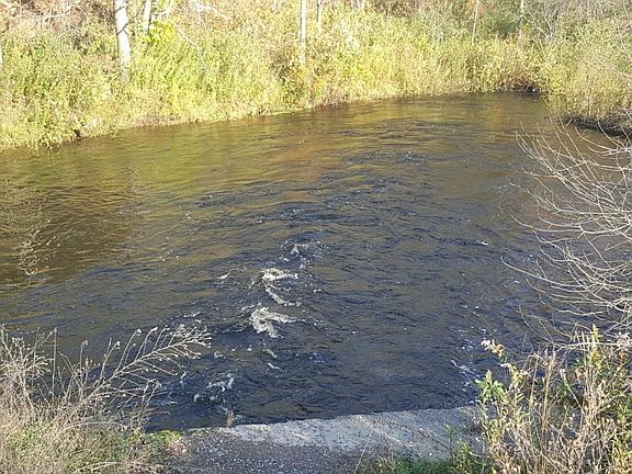 Borders South Branch of Little Salmon River