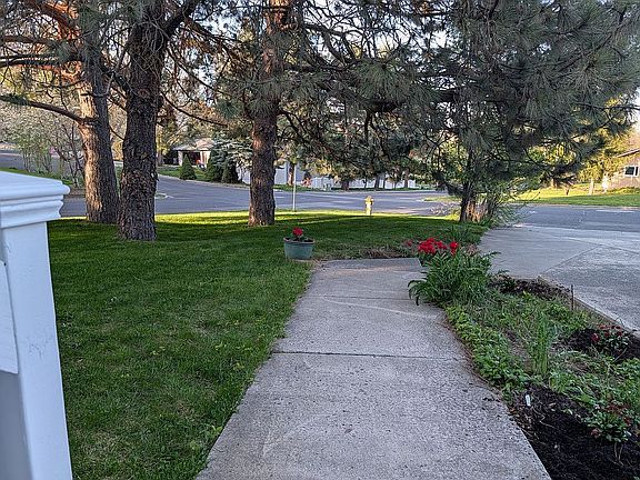 View from Front Entry Stairs
