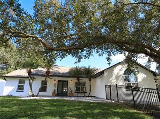 13021 Sunshine View Ct, Clermont, FL 34711