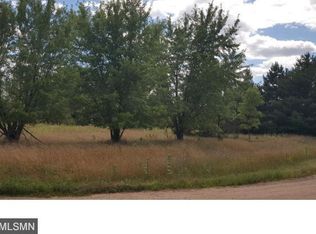 8051 Hazelnut Rd, Braham, MN 55006