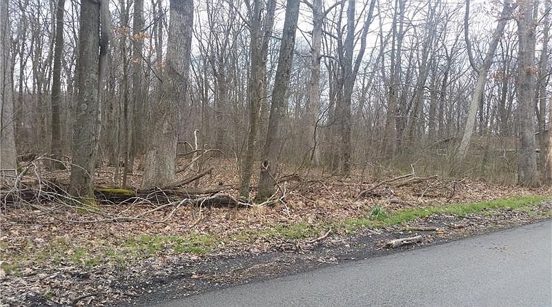 2nd image of Eastlake Rd
