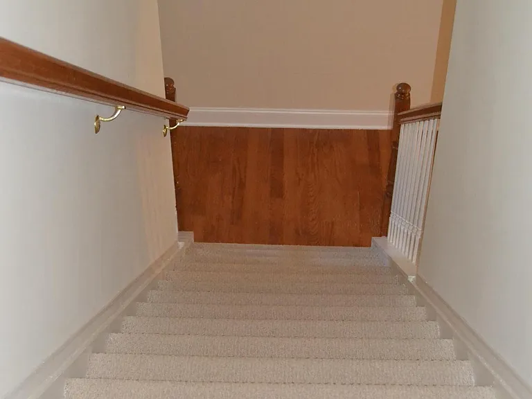 285 Snowgoose Ct — Photo 17