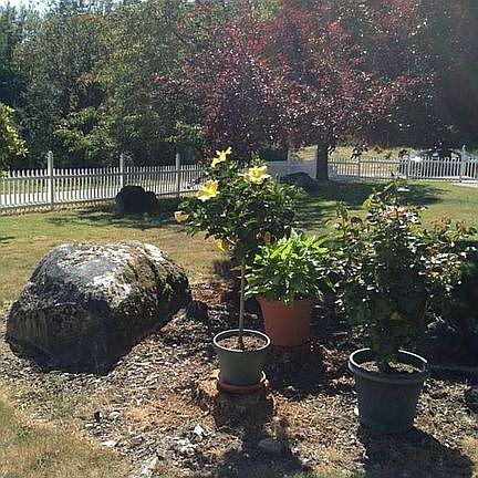 5th image of 6425 149th Ct NW