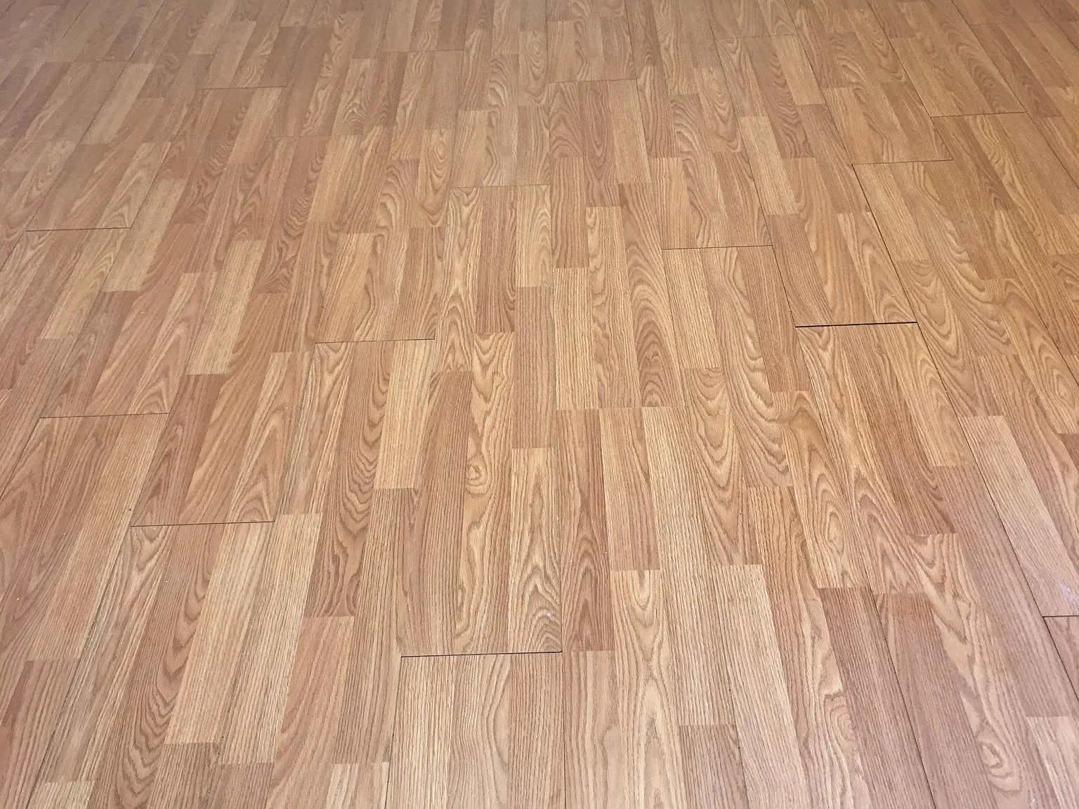 Studio, 290 sqft, $875 — Photo 1