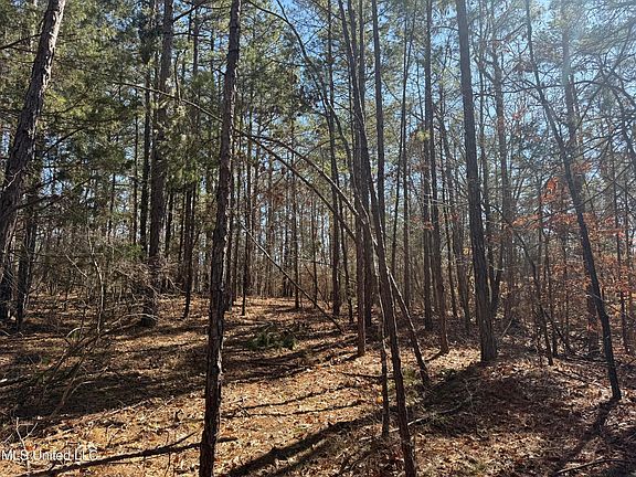 5th image of County Road 186