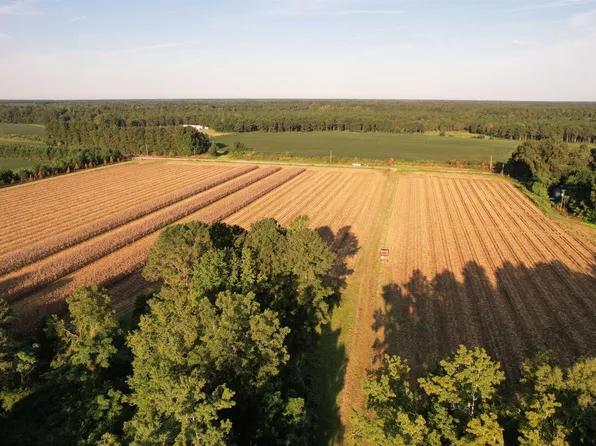 61.77 Acres-TBD Marion Church Rd., Salters, SC 29590