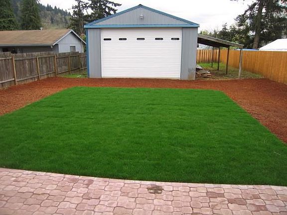 Backyard - Facign Shet