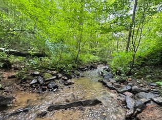 Bushy Head Rd, Ellijay, GA 30540