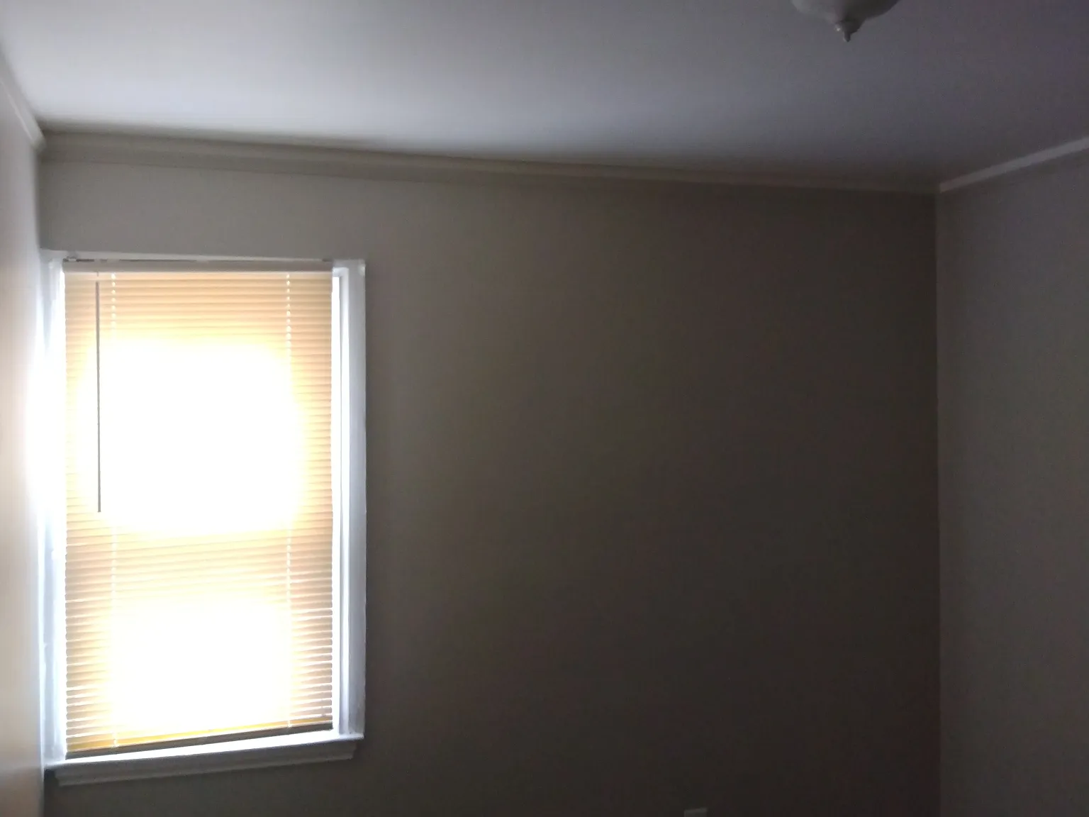 3 bed, 1060 sqft, $1,650 — Photo 2