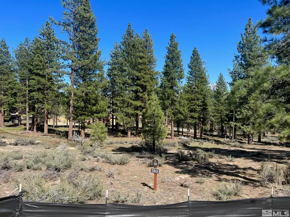 3562 Knob Point Trl #103, Carson City, NV 89705