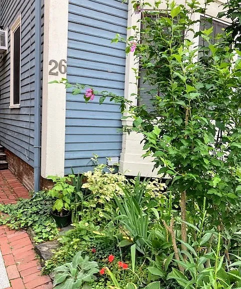 26 Mount Auburn St #1 — Photo 2