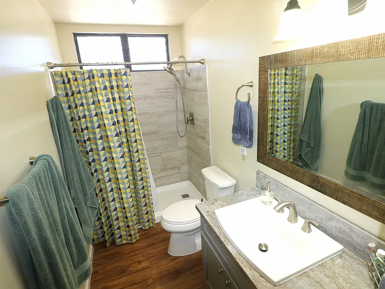 Guest bath shower