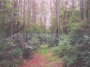 1738 Skipperville Rd, Ozark, AL 36360