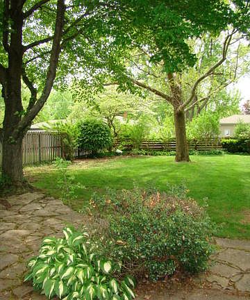 3rd image of 1386 Hickory Dr