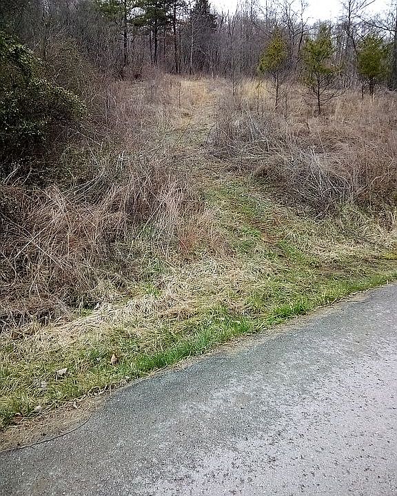 Access from the blacktop road