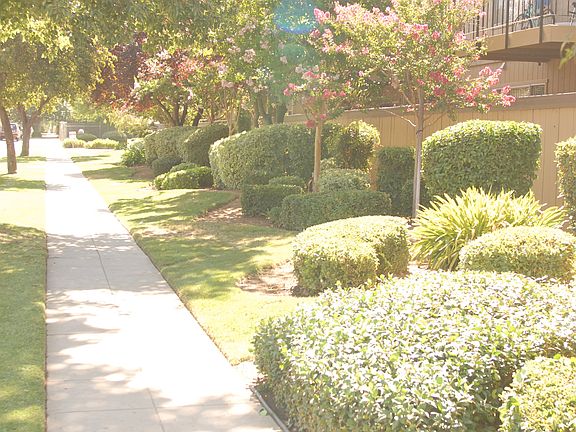 Beautiful Landscaping