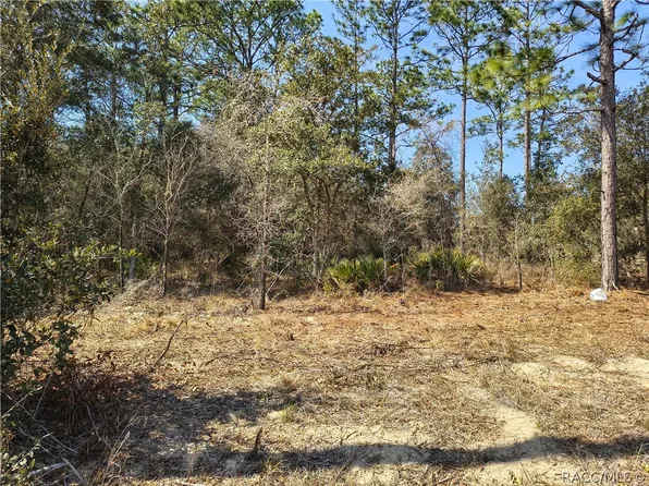 7041 N Maltese Dr, Citrus Springs, FL 34433