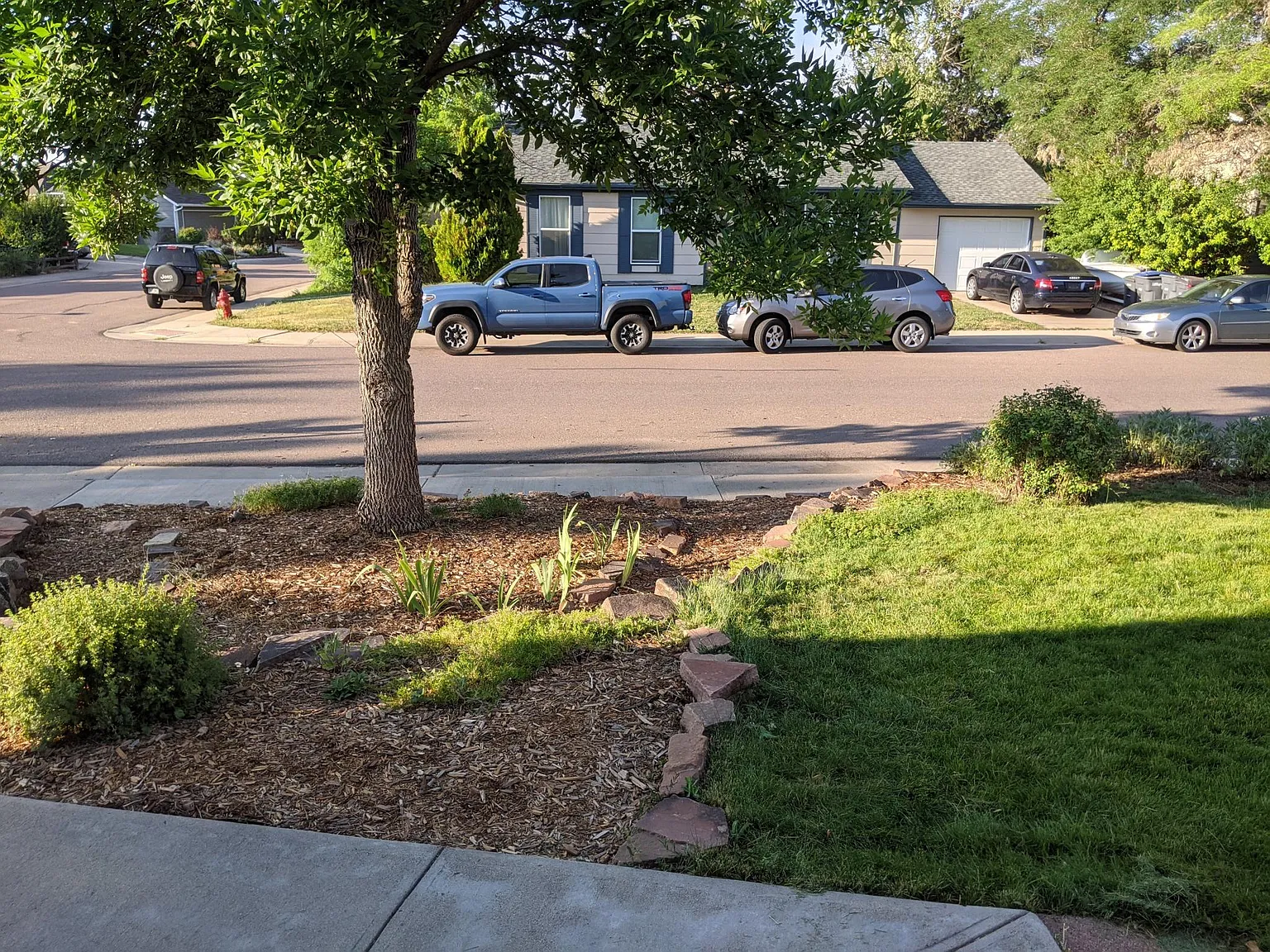 3 bed, 1250 sqft, $2,500 — Photo 4