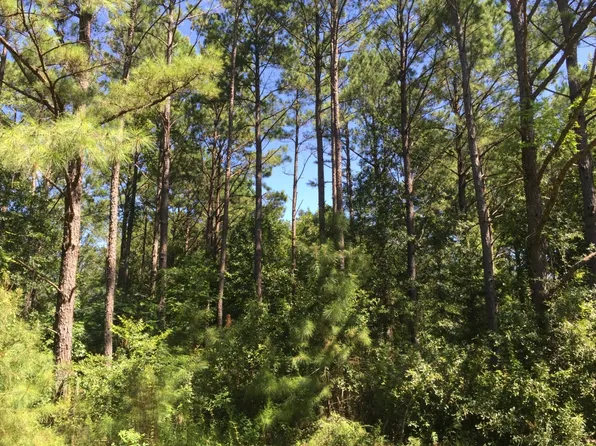 7697 Upper River Rd, Tallassee, AL 36078