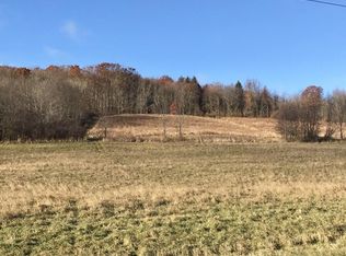 LOT Lisk Rd #B, Odessa, NY 14869