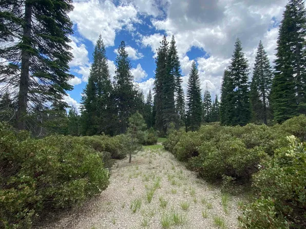 4-H-11 Ridge Dr, McCloud, CA 96057