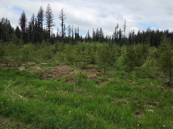 0 Windon Lane, Maple Falls, WA 98295