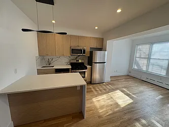 61-03 60th Drive, #1