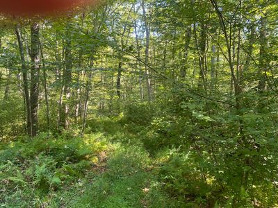 00 Sarah Pearl Road, Hampton, CT, 06247