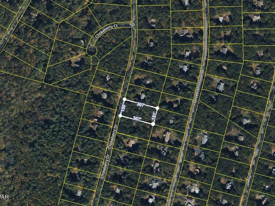2nd image of 176 Chokeberry Dr