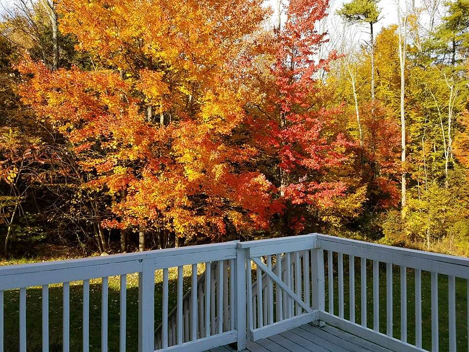 Fall foliage from Back Deck