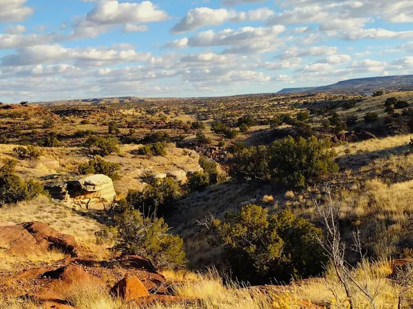 Lot -35 River Springs Ranch -- #035, St Johns, AZ 85936