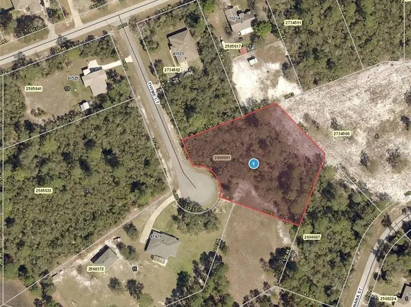Thyme Ct, Eustis, FL 32736