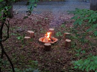 150 Statler Ct, Ellijay, GA 30540