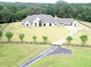 3832 Pope Rd, Diana, TX 75640