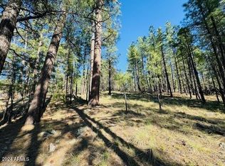 2549 Pine Valley Rd LOT 681, Happy Jack, AZ 86024