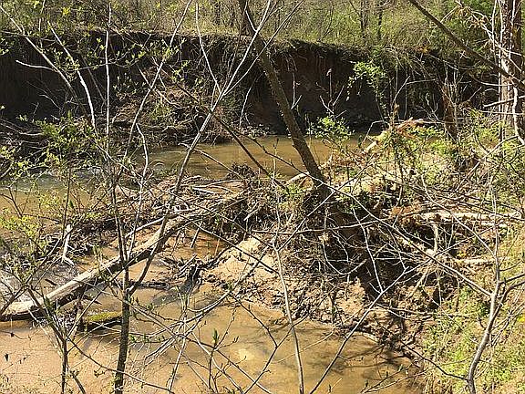 5th image of 100 Crossings Dr N