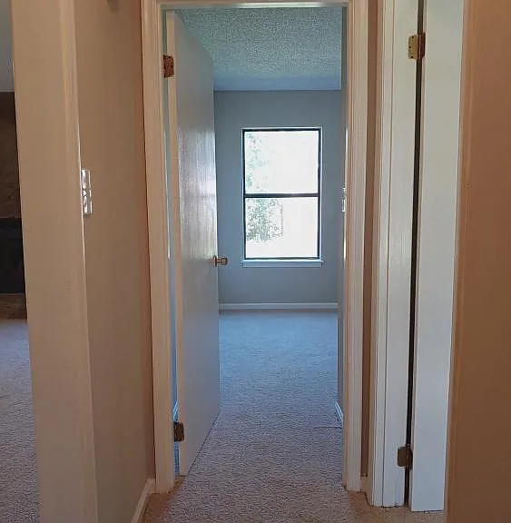 102 Pelham Dr — Photo 19