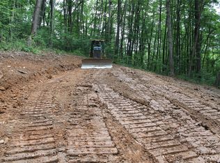 1 Long Branch Rd, Clyde, NC 28721