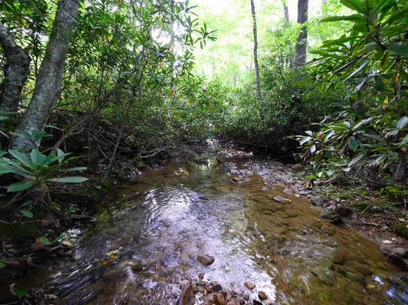 LOT 1 Deep Hollow Rd, Kingwood, WV 26537