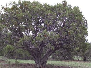 1174 E Sagebrush Rd, Williams, AZ 86046