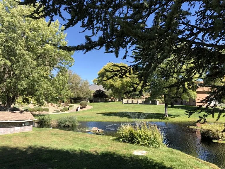Beautiful peaceful pond