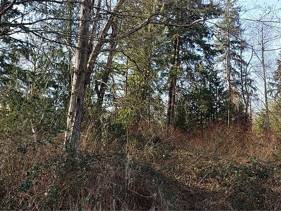 4th image of 26015 SE 424th St