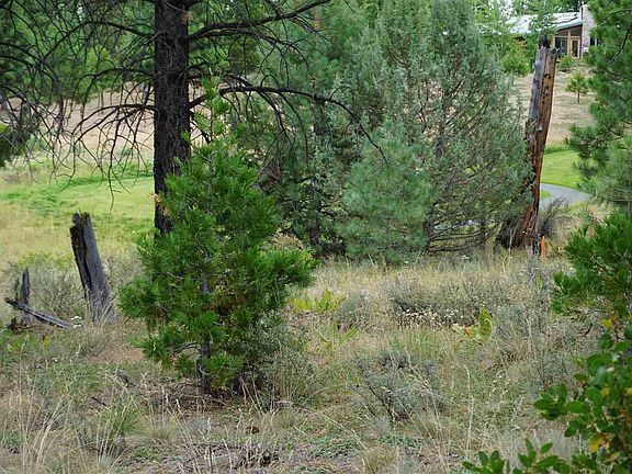 5th image of 1022 Great Spirit