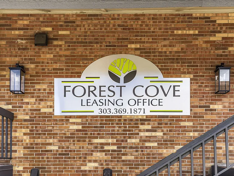 Forest Cove — Photo 5