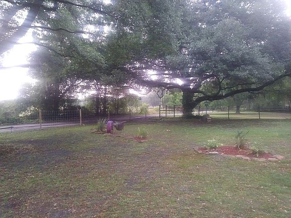 Part of front yard