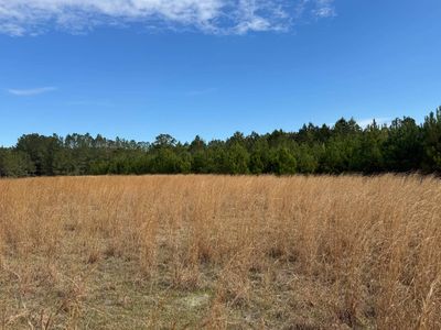 5302 Possum Corner Rd, Early Branch, SC, 29916