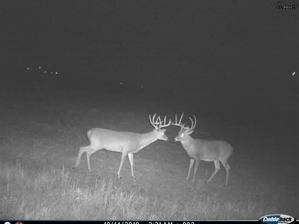 Fm 367 W, Electra, TX 76360