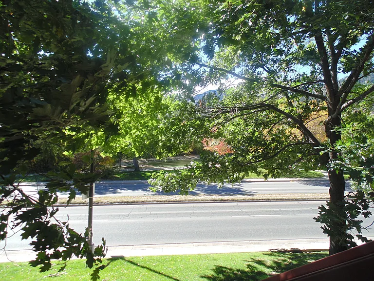 812 Walnut St #C — Photo 16
