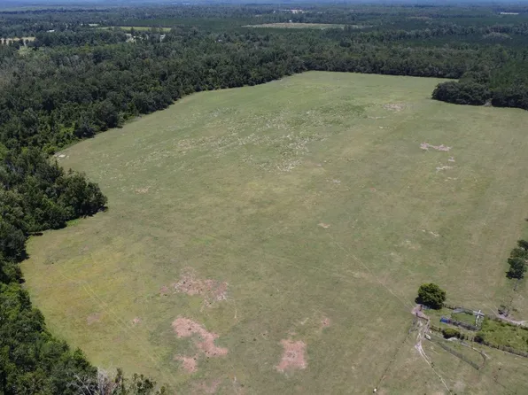 Hogan Rd, Wellborn, FL 32094